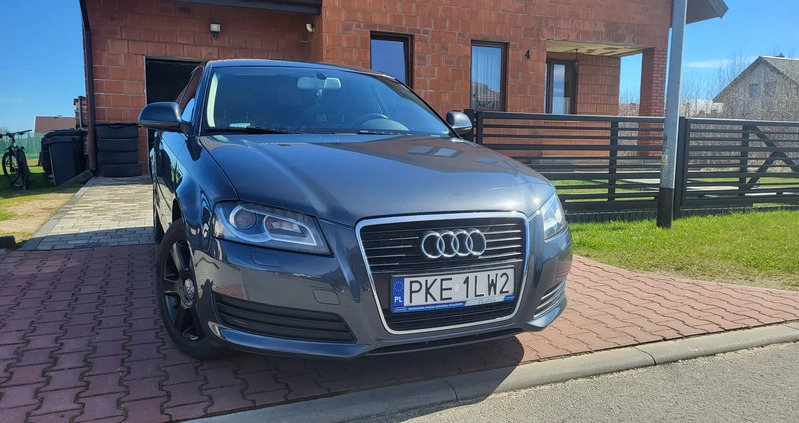 Audi A3 cena 21500 przebieg: 234500, rok produkcji 2009 z Kępno małe 191